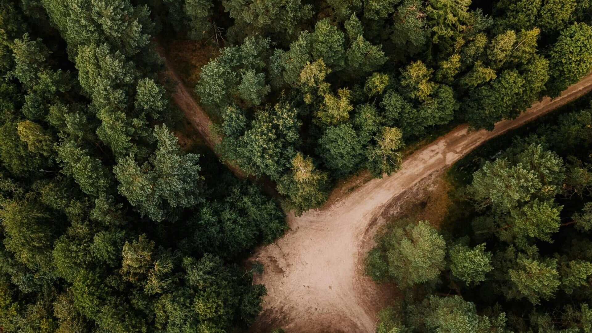 Réflexologie plantaire