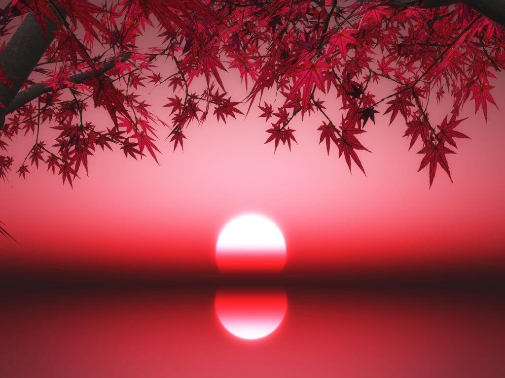 L'automne et l'énergétique chinoise
